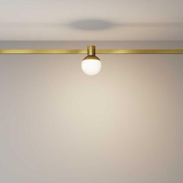 Трековый светильник Maytoni Technical TR149-1-5W3K-BS