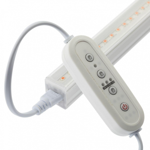 Таймер ЭРА Fito-Linetime Б0049314