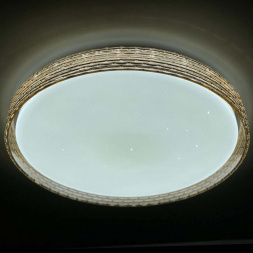 Потолочный светодиодный светильник Profit Light 2095/450 WH+GD