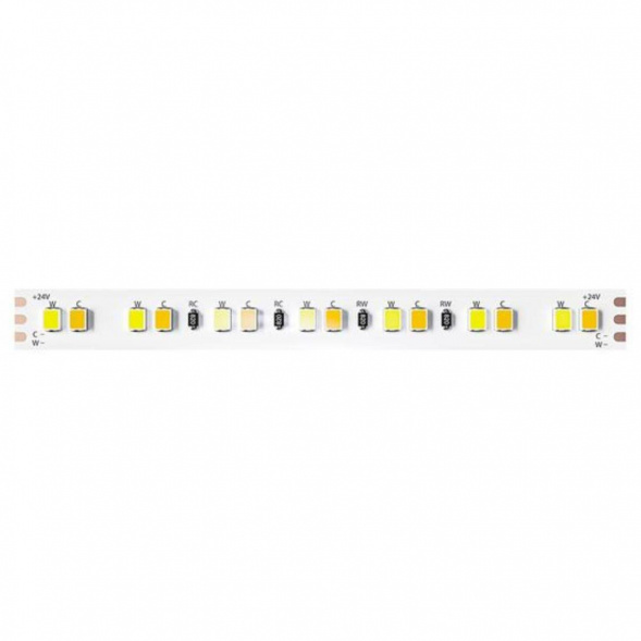 Светодиодная лента Arte Lamp 12W/m теплый/холодный белый 5М A2414010-01-mix