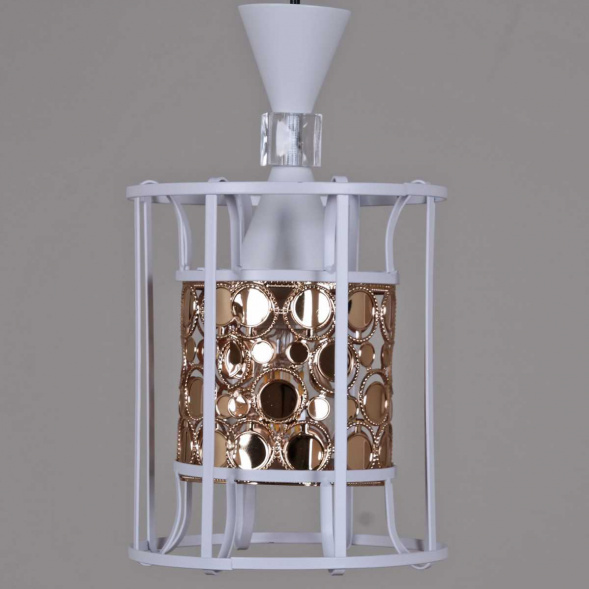 Потолочный светильник Reluce 05362-0.9-03 WH+FGD