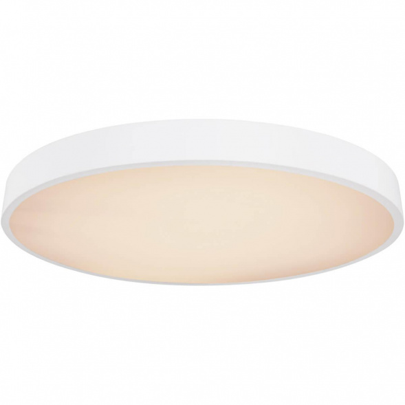 Потолочный светодиодный светильник Globo Wiss 41744-48