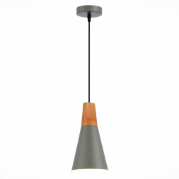 Подвесной светильник Evoluce MODICA SLE125173-01