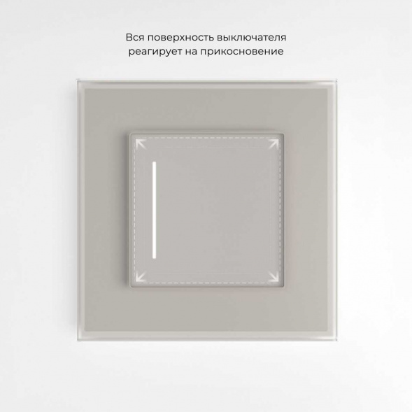 Сенсорный выключатель одноклавишный с подсветкой (дымчатый) W4512014/ a069762