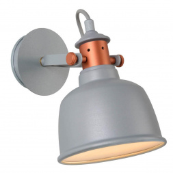 Спот Lucide Tjoll 37203/01/36