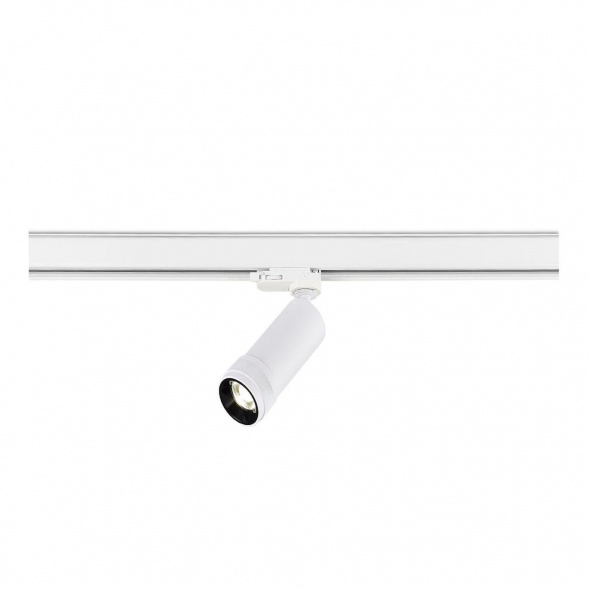 Трековый светодиодный светильник ST Luce ST691.536.10