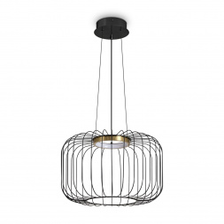 Подвесной светодиодный светильник Freya Citrus FR5398PL-L8B