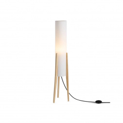 Торшер Freya FR5543FL-01T