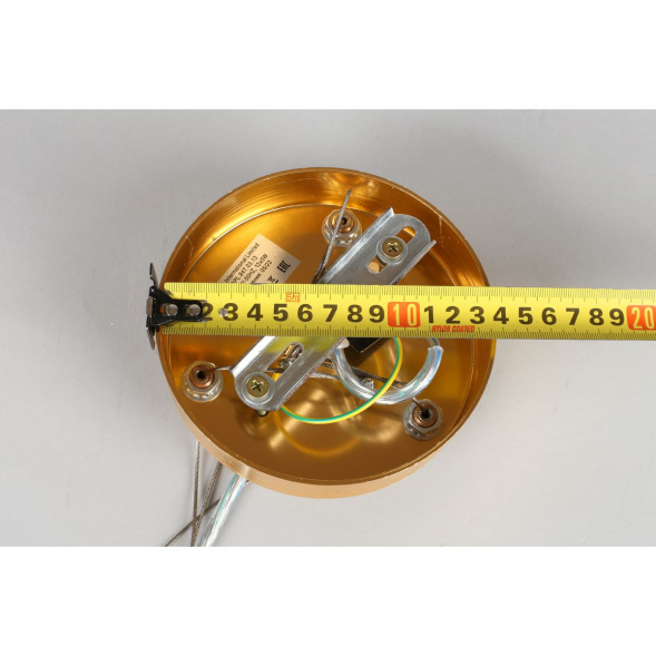 Подвесная люстра Aployt Gertunia APL.847.03.13