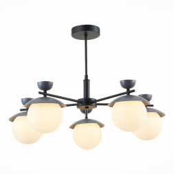 Подвесная люстра Evoluce Genova SLE220202-05