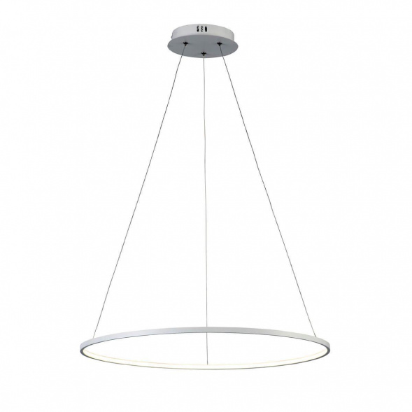 Подвесной светодиодный светильник ST Luce Erto SL904.513.01