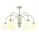 Подвесная люстра MyFar Flora MR2271-6C