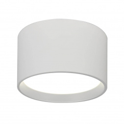 Потолочный светодиодный светильник Escada 20005SMU/02LED SWH