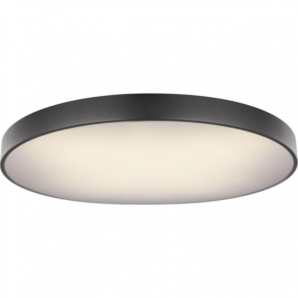 Потолочный светодиодный светильник Globo Wiss 41744-60S