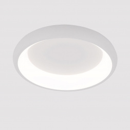 Потолочный светодиодный светильник Arte Lamp Menkib A2694PL-45WH