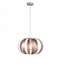 Подвесной светильник Vele Luce Ophir VL5324P21