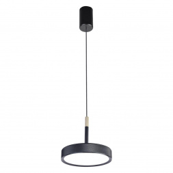 Подвесной светодиодный светильник Favourite Piller 4506-1P