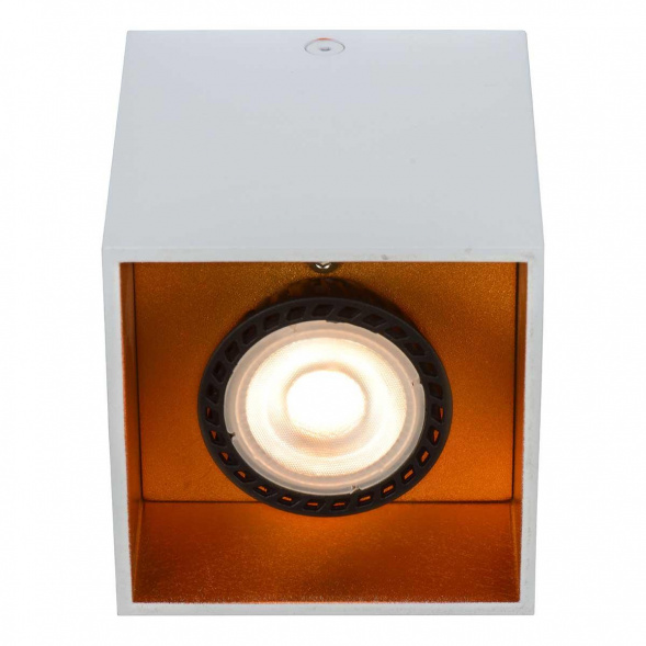 Потолочный светильник Lucide Bodibis 22966/01/31