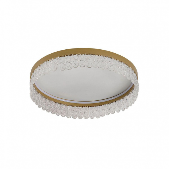 Потолочный светодиодный светильник F-Promo Lunetta 4186-1C