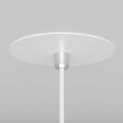 Подвесной светильник Maytoni Nevill P318-PL-01-W