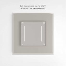 Сенсорный выключатель двухклавишный с подсветкой (дымчатый) W4522014/ a069763