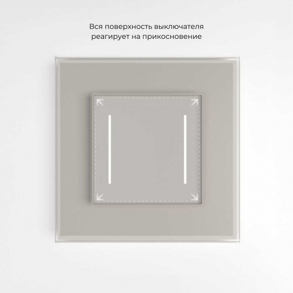 Сенсорный выключатель двухклавишный с подсветкой (дымчатый) W4522014/ a069763