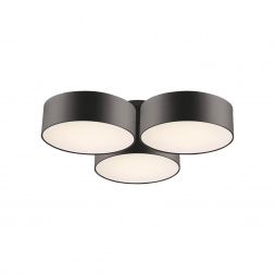 Потолочный светильник Favourite Cerchi 1514-6C