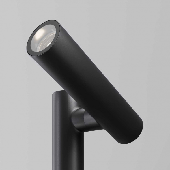 Ландшафтный светильник Maytoni Outdoor O494FL-L20B3K