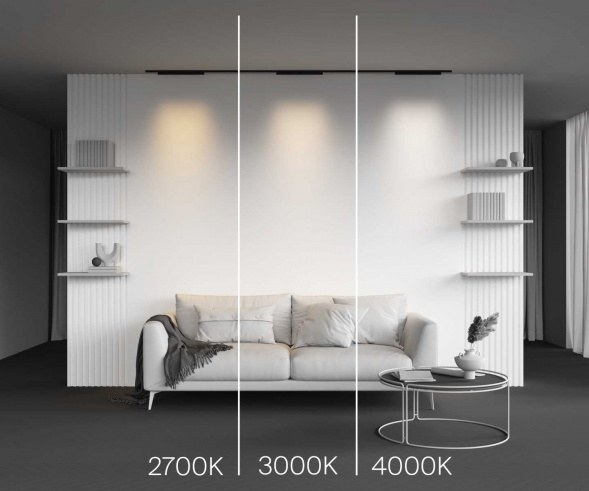 Трековый светильник Maytoni Technical Points TR193-1-20W3K-M-B