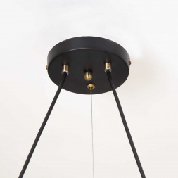 Подвесная люстра Citilux Планета CL105195