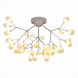 Потолочная люстра Evoluce Avola SLE250102-36