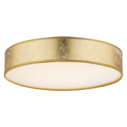 Потолочный светодиодный светильник Globo Amy 15187D1