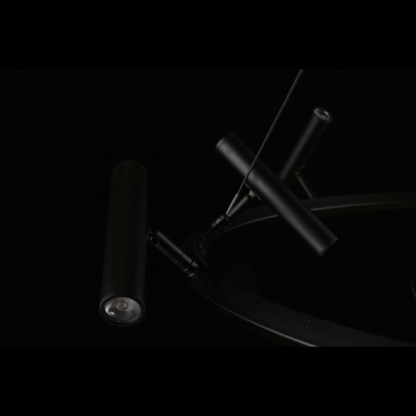 Подвесная светодиодная люстра Aployt Honor APL.067.03.50