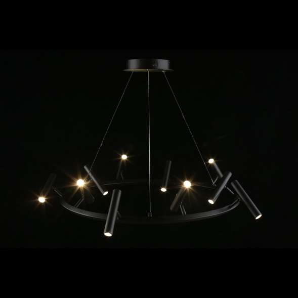 Подвесная светодиодная люстра Aployt Honor APL.067.03.50