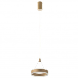 Подвесной светильник Citilux Дуэт CL719012