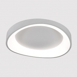 Потолочный светодиодный светильник Arte Lamp Sualocin A2698PL-60WH