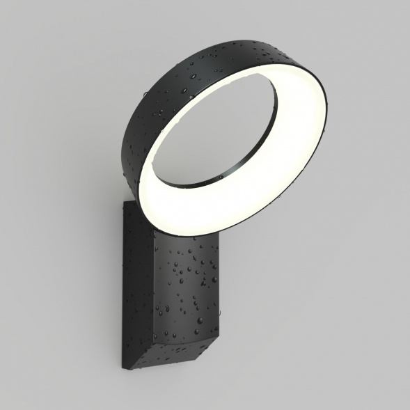 Уличный настенный светодиодный светильник Denkirs Sanvik DK9712-BK