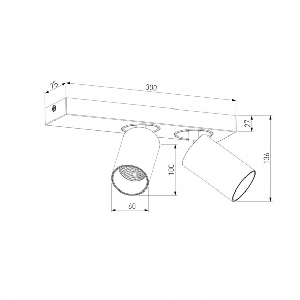 Светодиодный спот Eurosvet Flank 20139/2 Led белый
