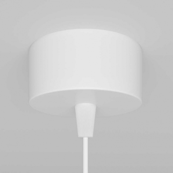 Подвесной светильник Maytoni Technical Focus P075PL-01W