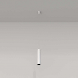 Подвесной светильник Maytoni Technical Focus P075PL-01W