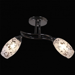 Потолочный светильник Reluce 91200-6.3-02B BKPL