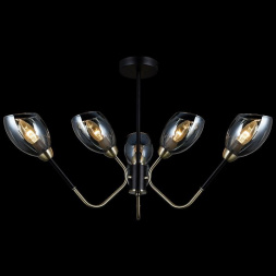 Потолочная люстра Illumico IL9960-6CSQ-79 BK AB