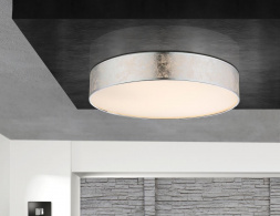 Потолочный светодиодный светильник Globo Amy I 15188D2