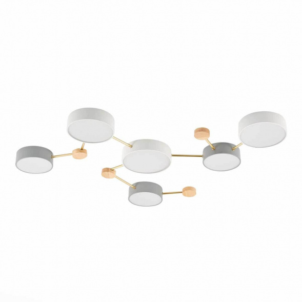 Потолочный светильник Evoluce DOSSENA SLE600102-06