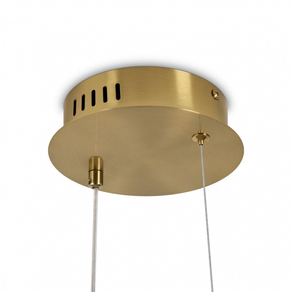 Подвесной светодиодный светильник Freya Eclat FR6182PL-L14BS