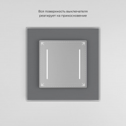 Сенсорный выключатель двухклавишный Werkel с подсветкой серебряный W4522006 4690389198038