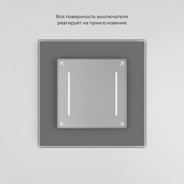 Сенсорный выключатель двухклавишный Werkel с подсветкой серебряный W4522006 4690389198038