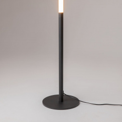 Торшер Maytoni Ray Z012FL-L18B3K