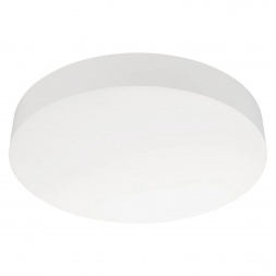 Накладной светодиодный светильник Arlight IM-FLOWER-EMERGENCY-3H-R410-32W Day4000-MIX (WH, 110 deg, 230V) 042570