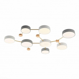 Потолочный светильник Evoluce DOSSENA SLE600102-08
